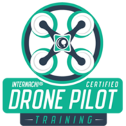 Drone Pilot